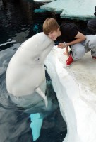 /album/fotos-/animais-2-jpg/